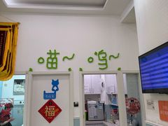 -纳吉亚猫专科动物医院·北北分院