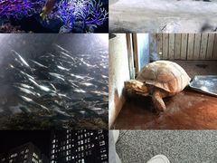 -南昌海洋公园