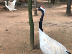 -鄱阳湖国家湿地公园