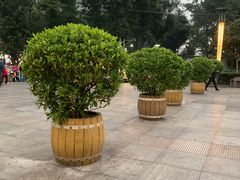 -重庆医科大学附属第一医院(本部)