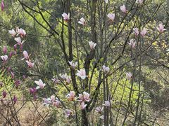 -终南山南五台景区