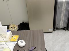 -lincat·猫舍(广州店)