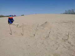 -东郊湿地公园
