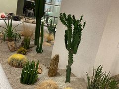 -OUR Bakery(SKP-S店)