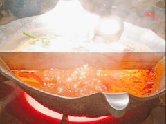 -湊湊火锅·茶憩(上海合生汇店)