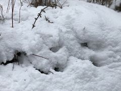-太子岭滑雪场