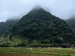 -靖西鹅泉风景区