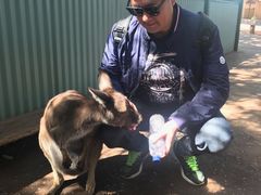 -费瑟代尔野生动物园