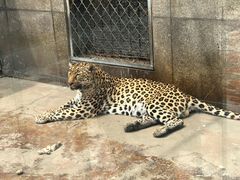 -西安秦岭野生动物园