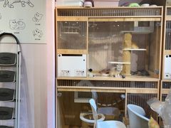 -爪爪喵星球·猫舍(卓悦中心店)
