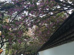 iphone_upload_pic-西安青龙寺遗址景区