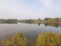 -东郊湿地公园