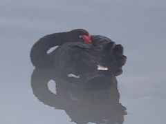 -武汉动物园