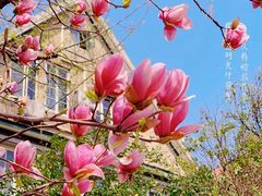 -常熟路(地铁站)