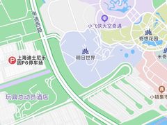 -迪士尼乐园停车场