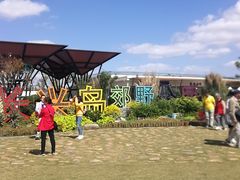 -上海长兴岛郊野公园