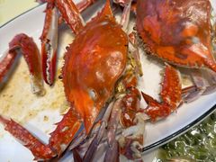 -金海湾海鲜排档(朱家尖店)