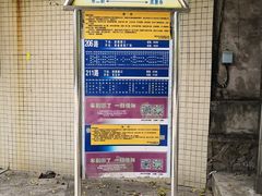 -广东茂名森林公园