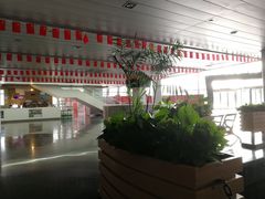 -野马渡文体中心游泳·健身