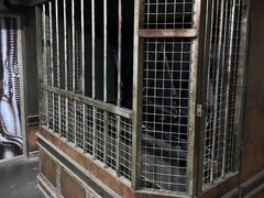 -屋有岛沉浸游戏旗舰店(中山公园店)
