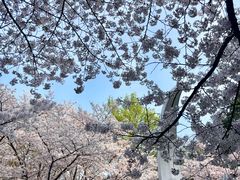 -杭州少年儿童公园