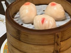 -憶廟街 X 沙角邨(太古城店)