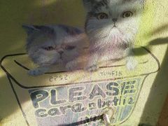 -槟城街头艺术街区