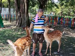 -广东花都香草世界旅游度假区