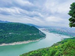 -铁山坪森林公园