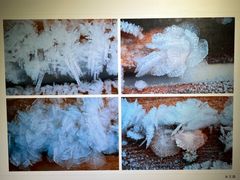 -南湖市民广场-乌鲁木齐美术馆