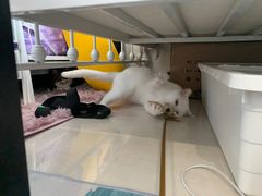 -沐沐家宠物(成寿寺店)