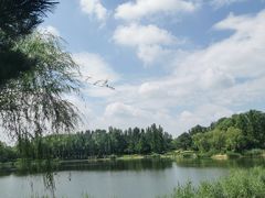 -北坞公园