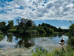 -墨尔本皇家植物园