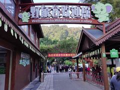 -野象谷景区