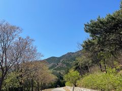 -北京西山国家森林公园