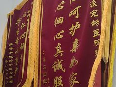 -瑞派康怡24h宠物医院·犬猫医疗中心·微创绝育(瑞景分院)