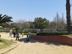 -河泥荡文化公园
