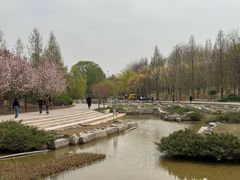 -大望京公园