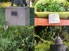 -广州神农草堂中医药博物馆