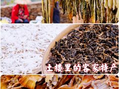 -南靖田螺坑土楼群景区