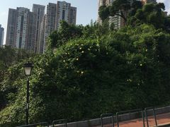 -嘉模泳池