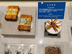 -北京中医药大学-中医药博物馆