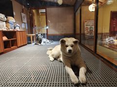 -大江户·温泉洗浴(浑南店)