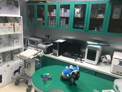 -瑞派申生动物医院·24H夜诊·国际动物医疗中心·骨外科(吴中路店)