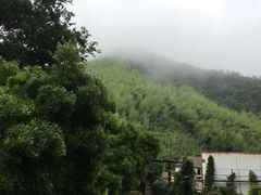 -看见远方·莫干遥远的山民宿