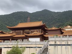 -深圳仙湖植物园