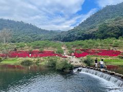 -广州市石门国家森林公园