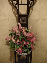 -丽妍雅集 Rubis SPA