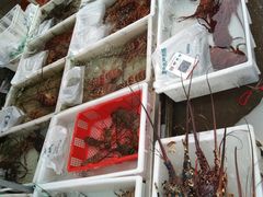 -黄沙水产交易市场