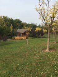 -大望京儿童游乐场